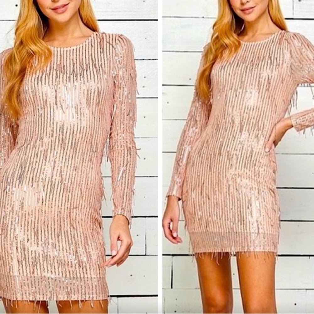 Champagne Pink Sequin Fringe Long Sleeve Mini Party Dress